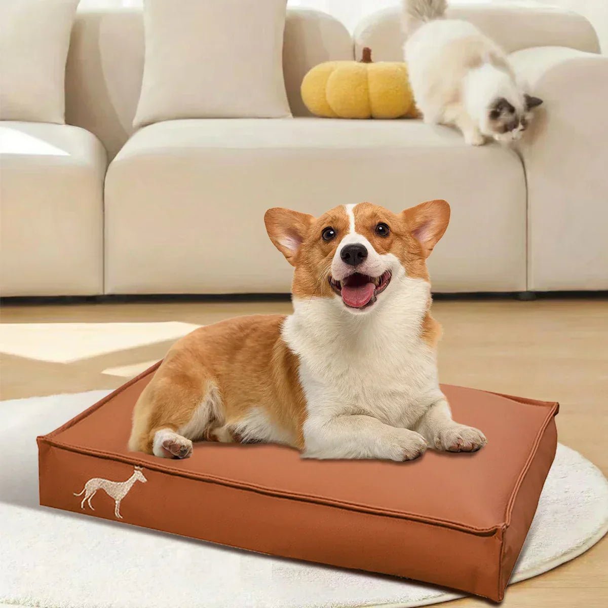 Waterproof Dog Cushion – Durability Meets Comfort - Image 3