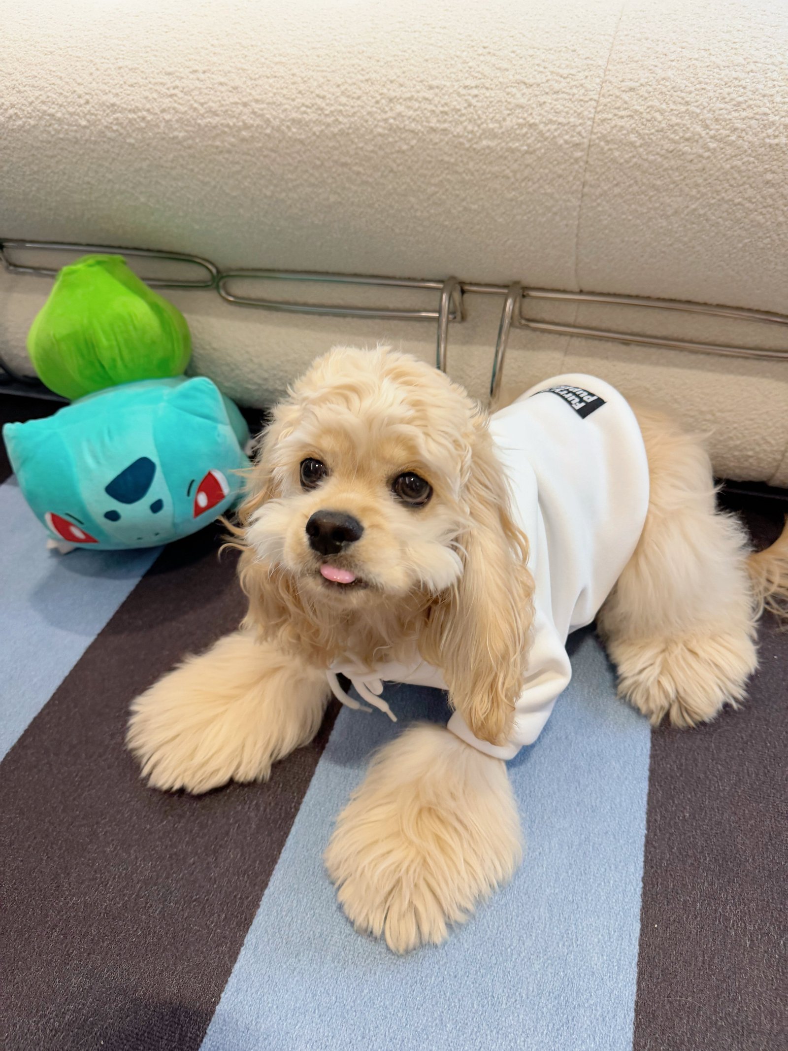 Beige Bliss Frenchie Hoodie - Image 5