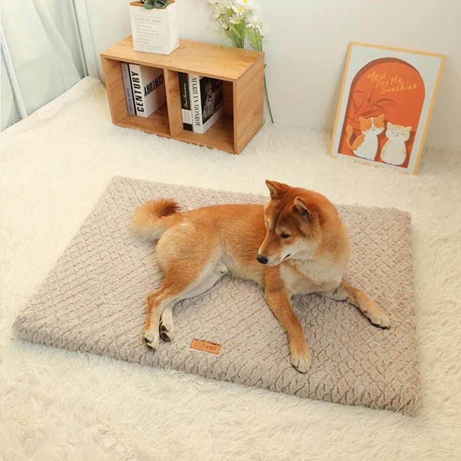 Washable Dog Cushion Cover – Comfort and Style for Your Pet - Image 2